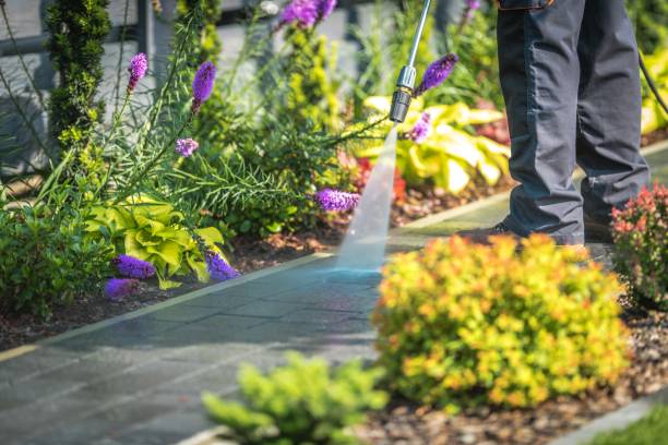 Best Parking Lot Cleaning in Belmar, NJ