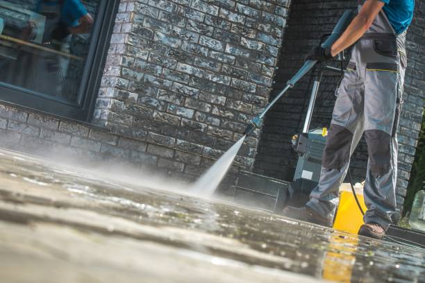 Best Driveway Cleaning and Restoration in Belmar, NJ